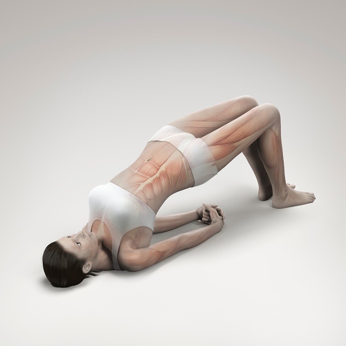 Yoga Bridge Pose, artwork