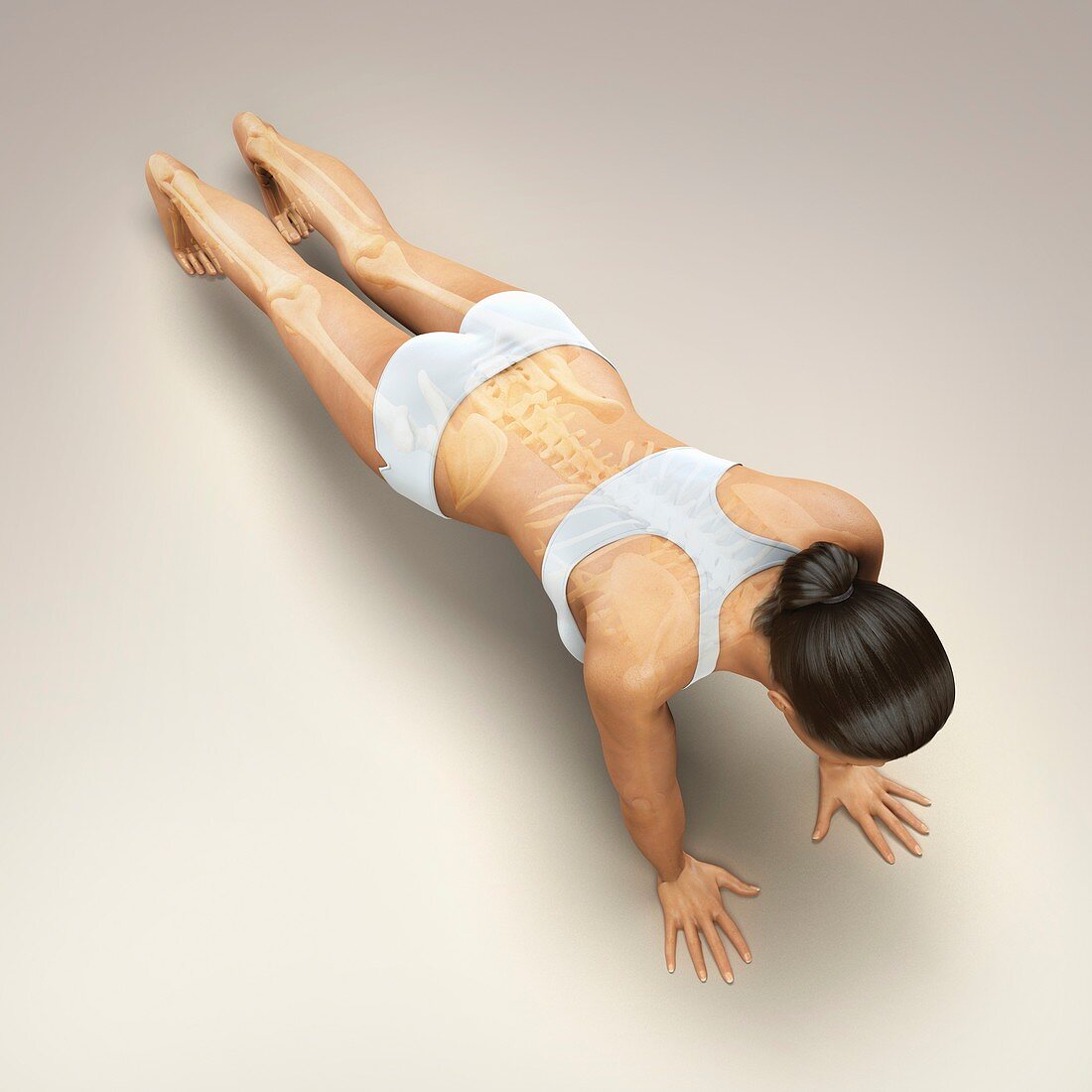 Yoga Plank Pose, artwork