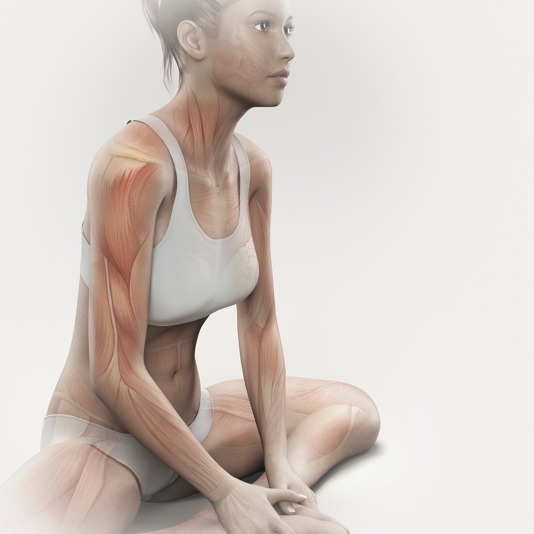 Yoga Bound Angle Pose, artwork
