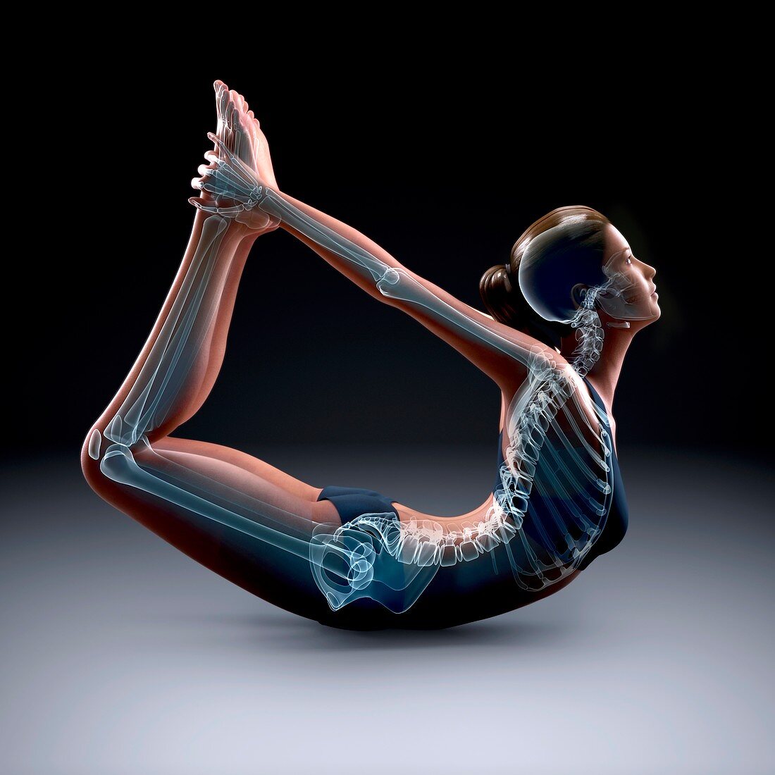 Yoga Bow Pose, artwork