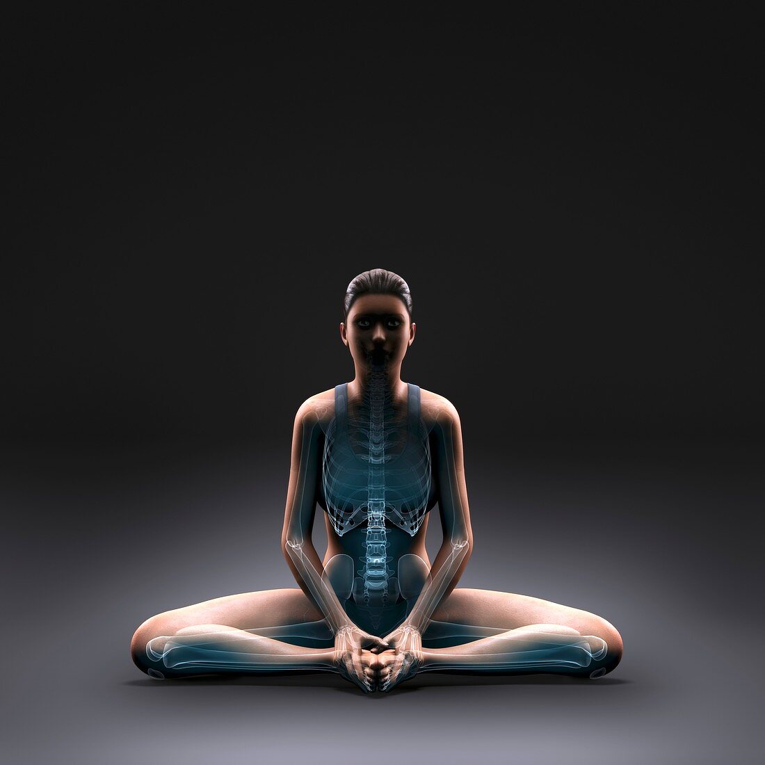 Yoga Bound Angle Pose, artwork