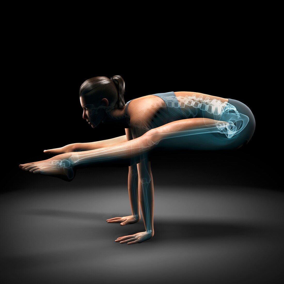 Yoga Firefly Pose, artwork