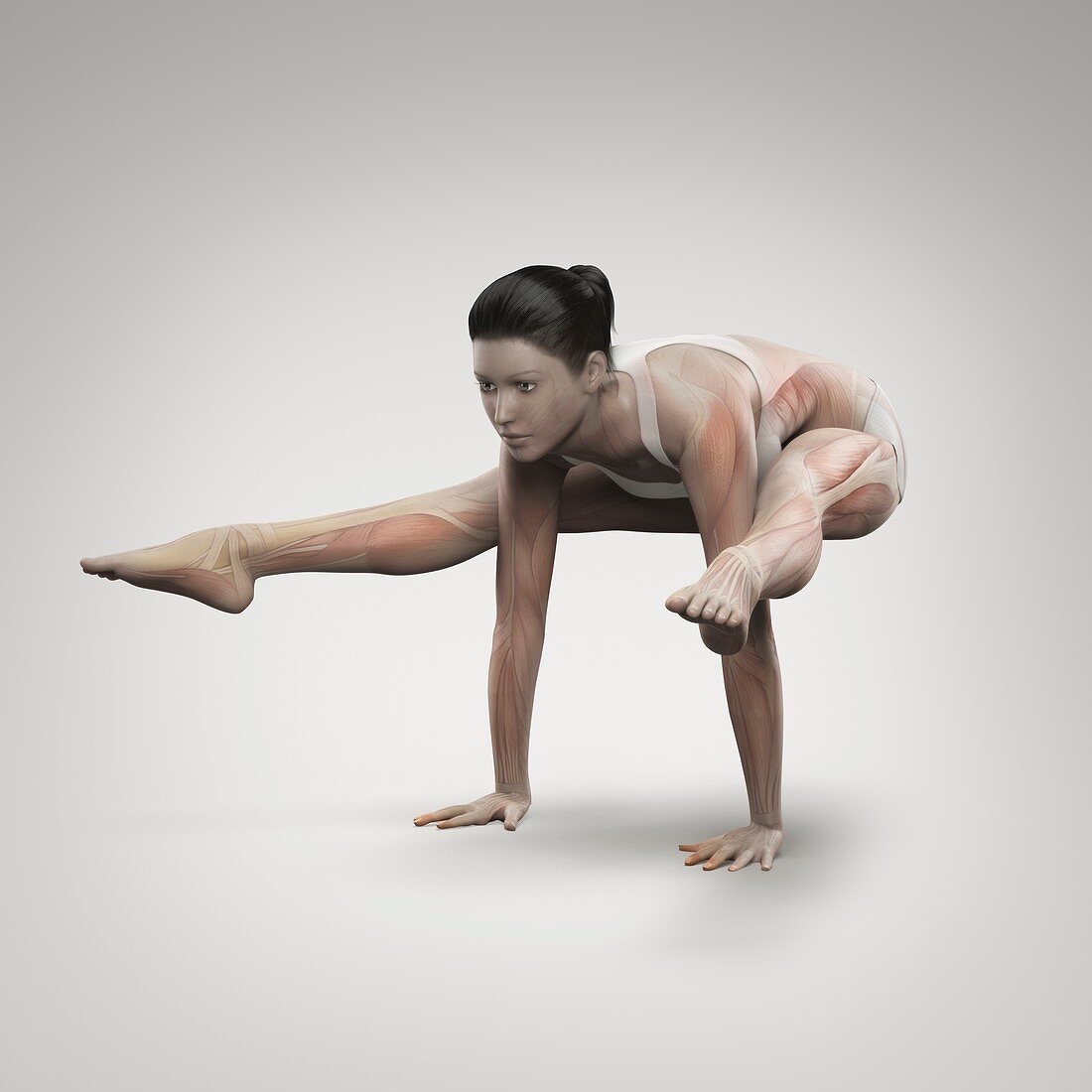 Yoga Firefly Pose, artwork