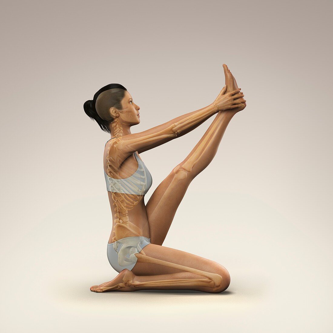 Yoga Heron Pose, artwork