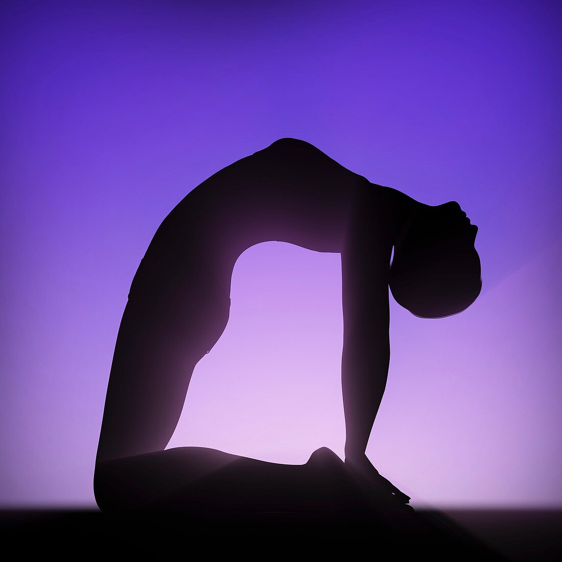 Yoga Camel Pose, artwork