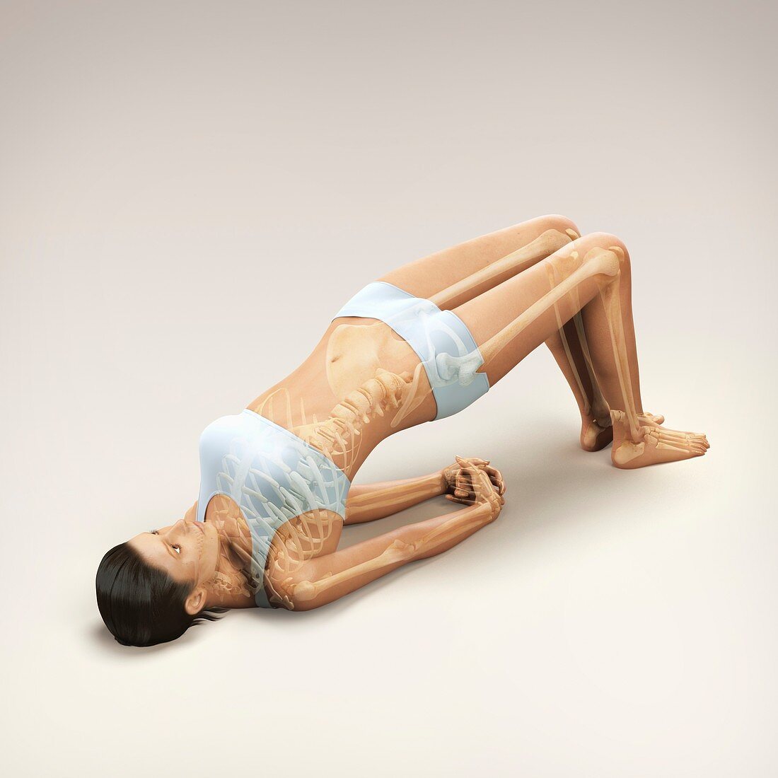 Yoga Bridge Pose, artwork