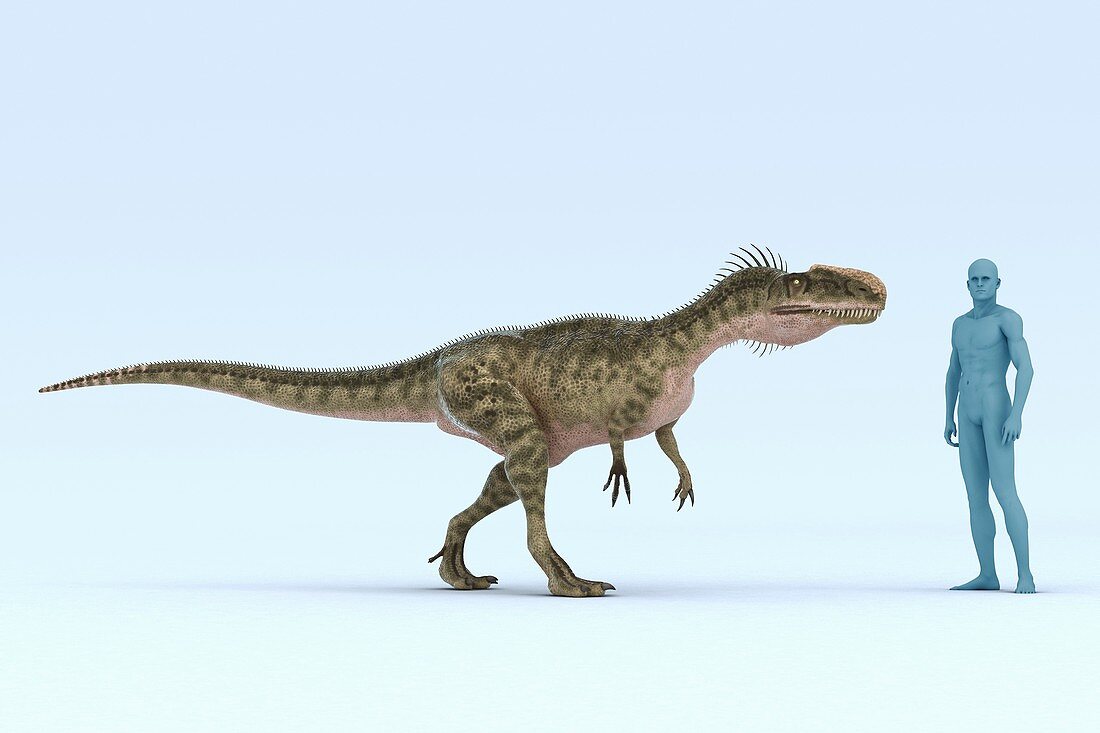 Monolophosaurus Dinosaur, artwork