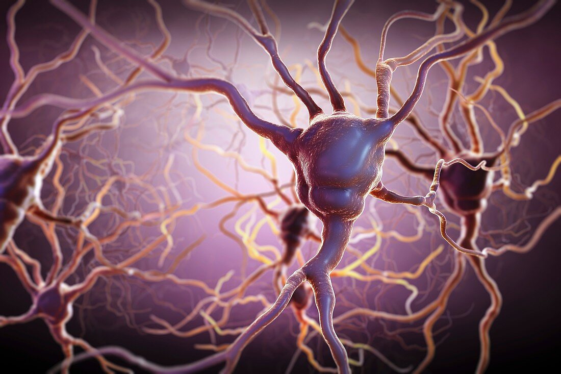 Neuron, artwork