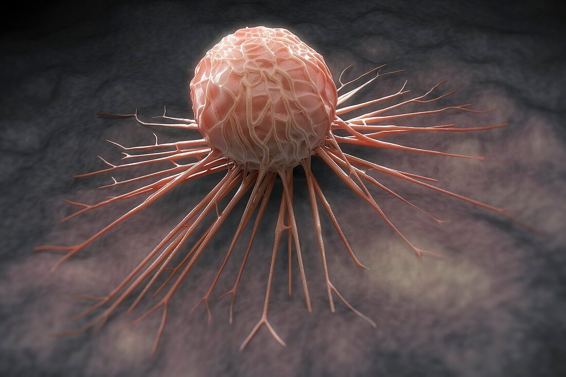 Cancer Cell, artwork