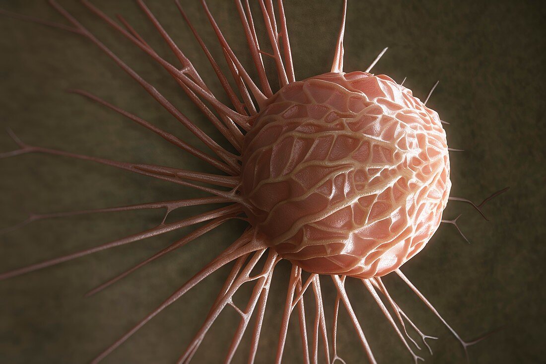 Cancer Cell, artwork