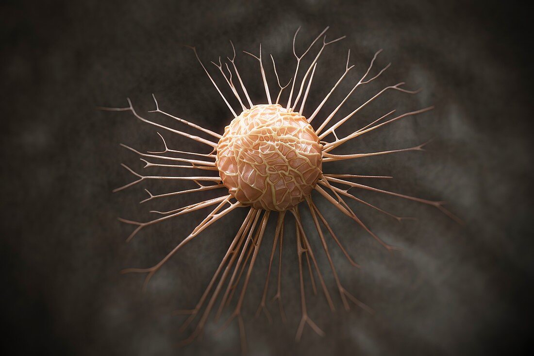 Cancer Cell, artwork