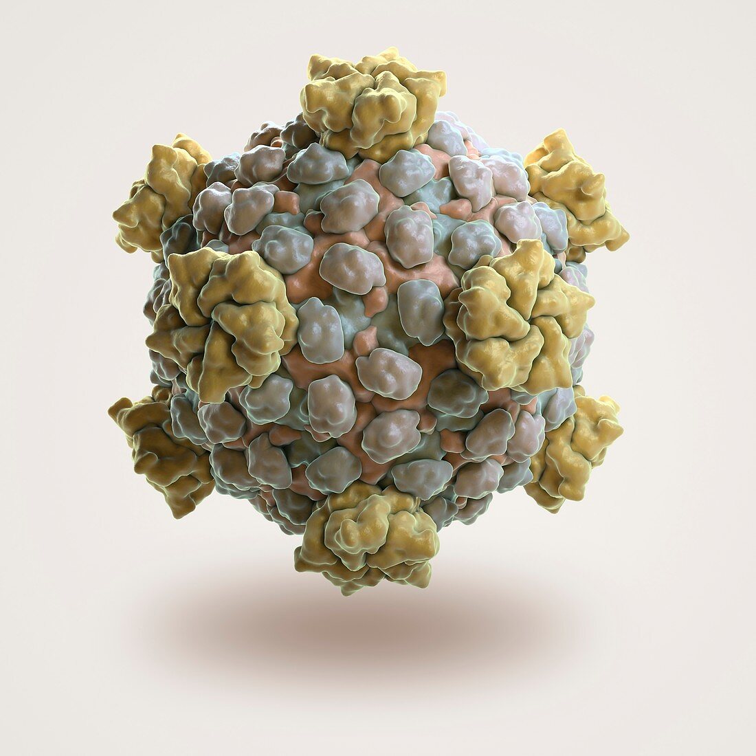 Reovirus Core, artwork