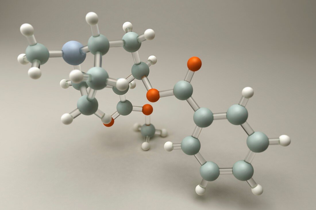 Cocaine Molecule, artwork