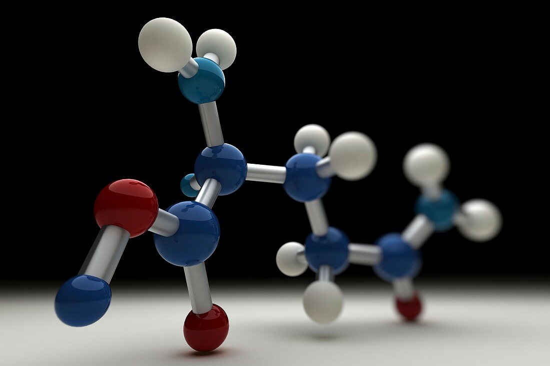 Glutamine Molecule, artwork