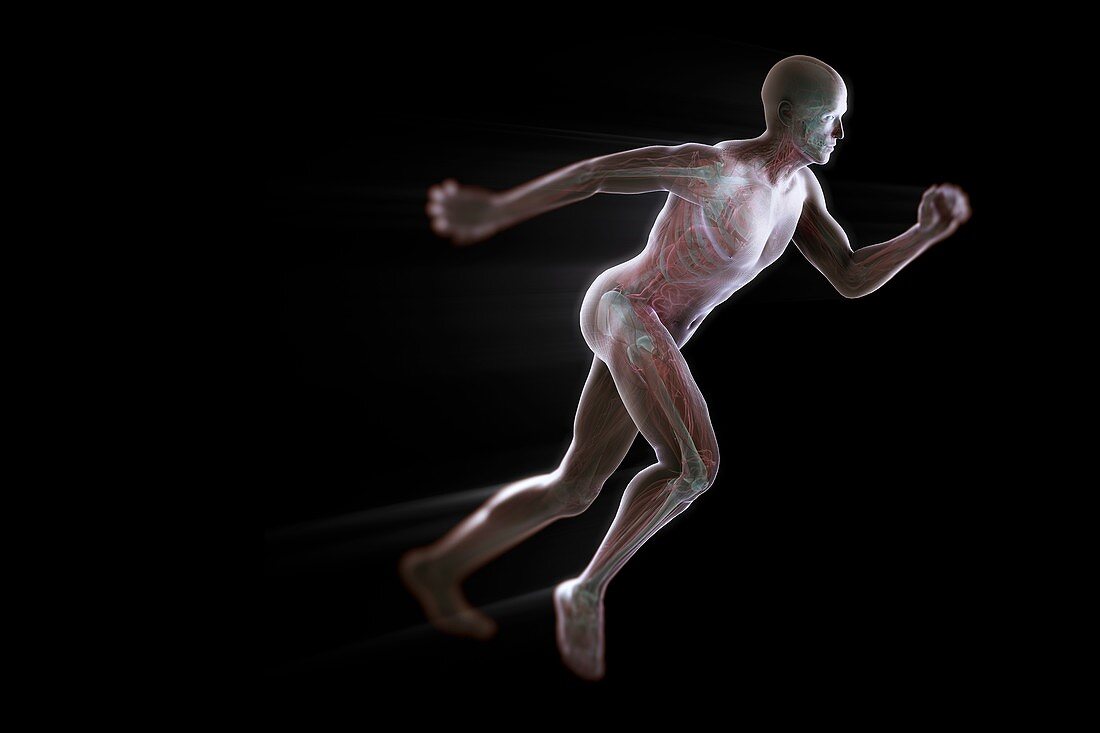Running Male Figure, artwork