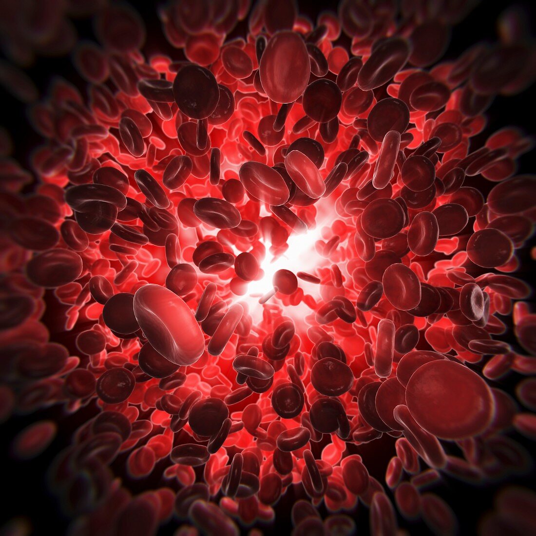 Red Blood Cells, artwork