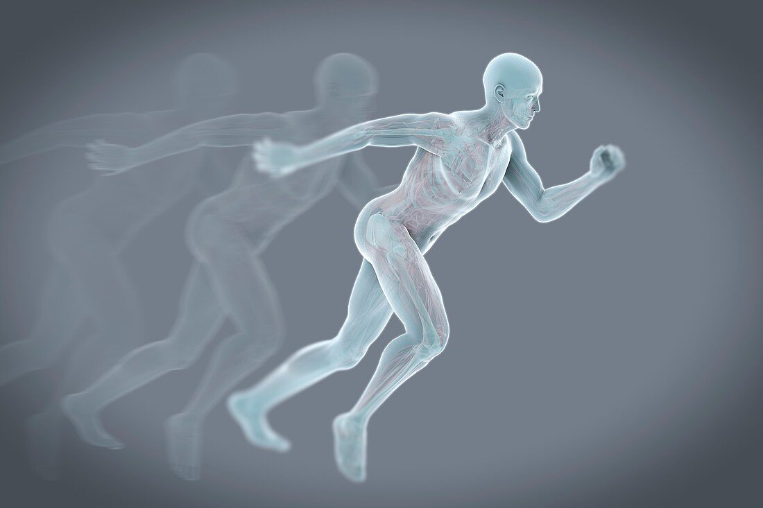 Running Male Figure, artwork