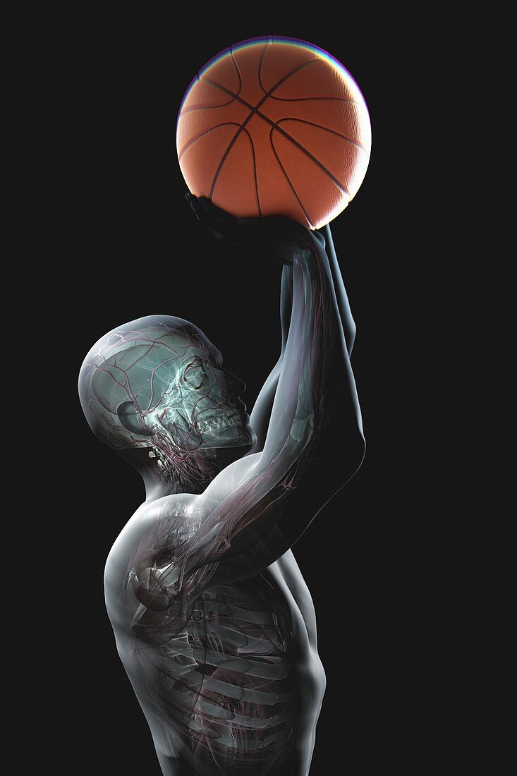 Basketball Shot, artwork