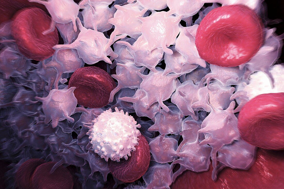 Blood Cells, artwork