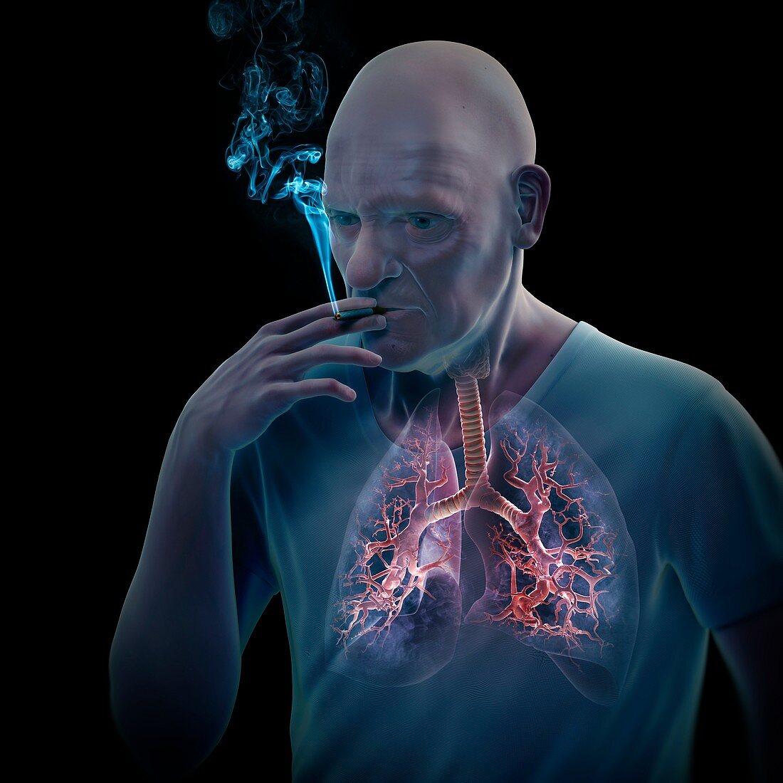 Dangers of Smoking, artwork