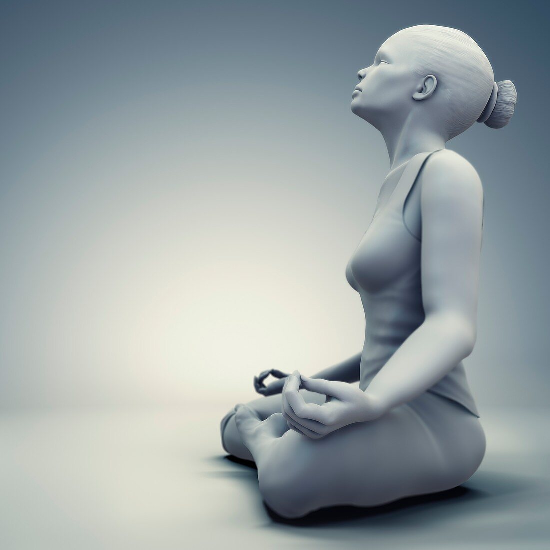 Meditation Pose, artwork