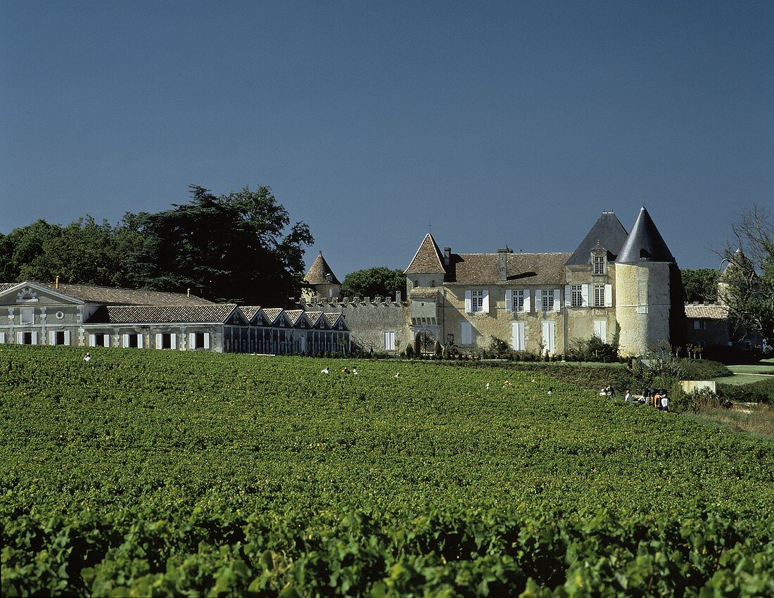Das weltberühmte Château d'Yquem in Sauternes, Bordeaux