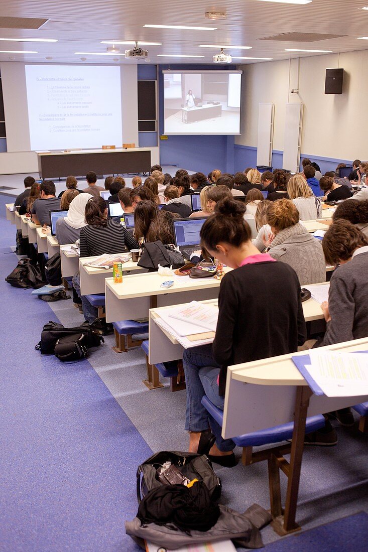 Students at university class