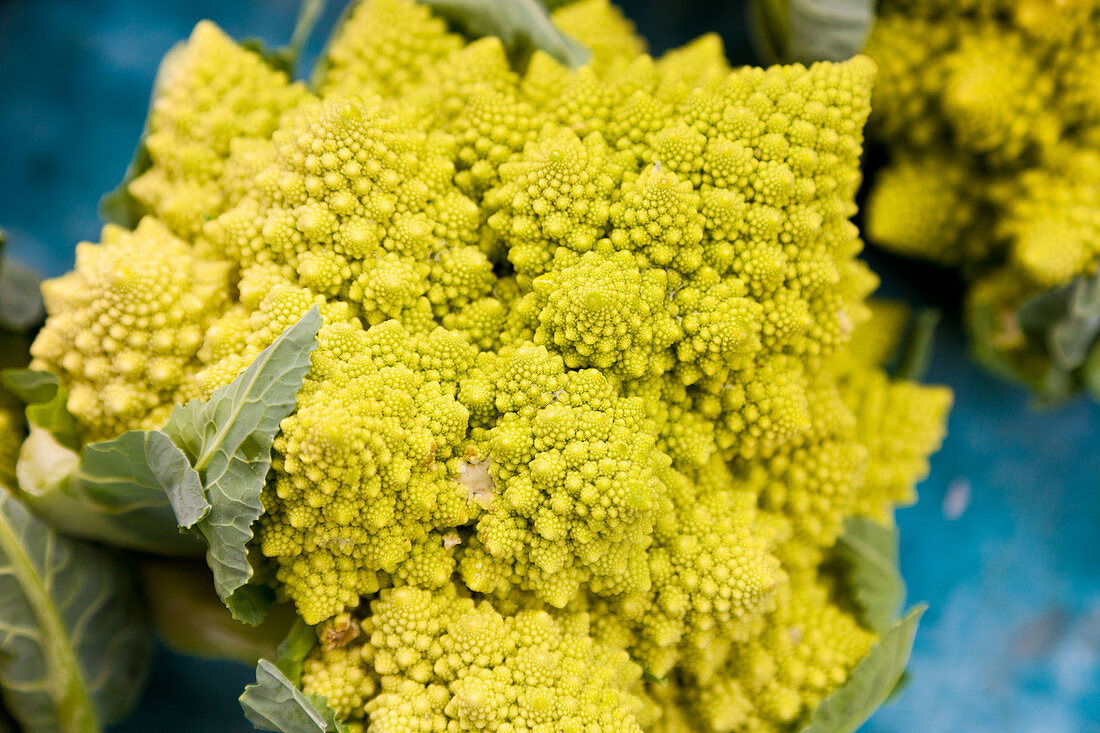 Romanesco broccoli