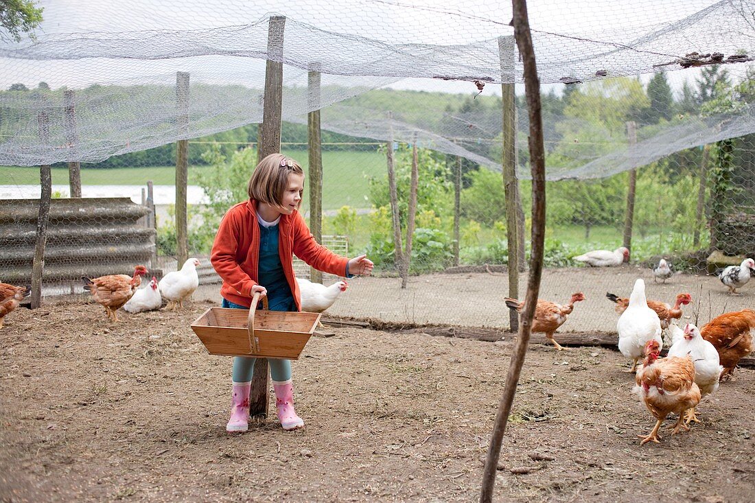 Girl in a hen house