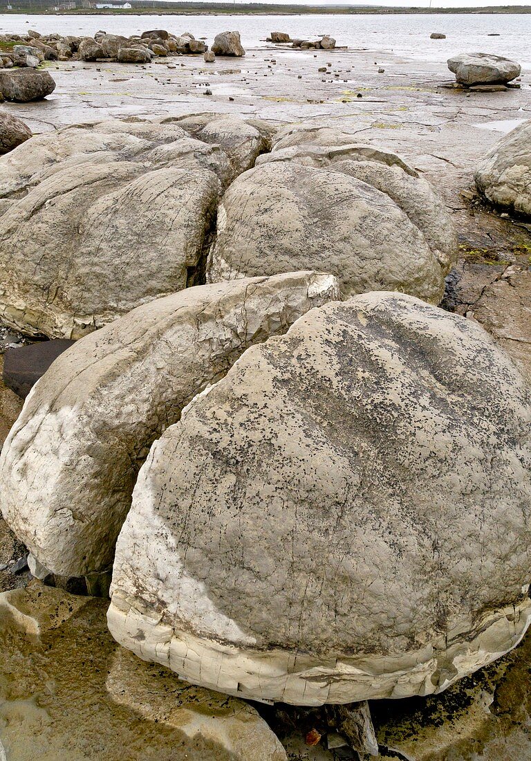 Thrombolites, Newfoundland, Canada