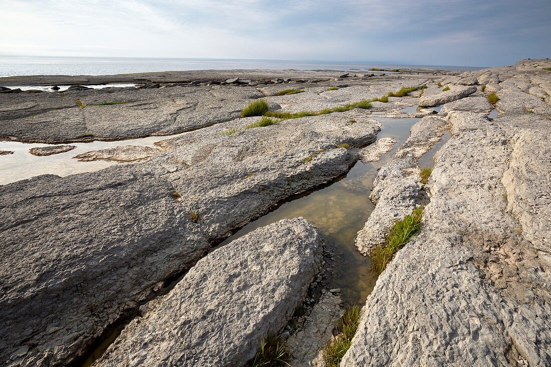 Eroded limestone coast, Newfoundland, Canada