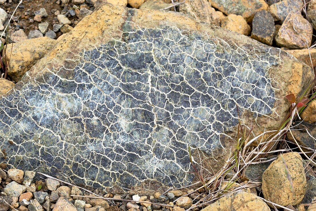 Lizardite in serpentine rock
