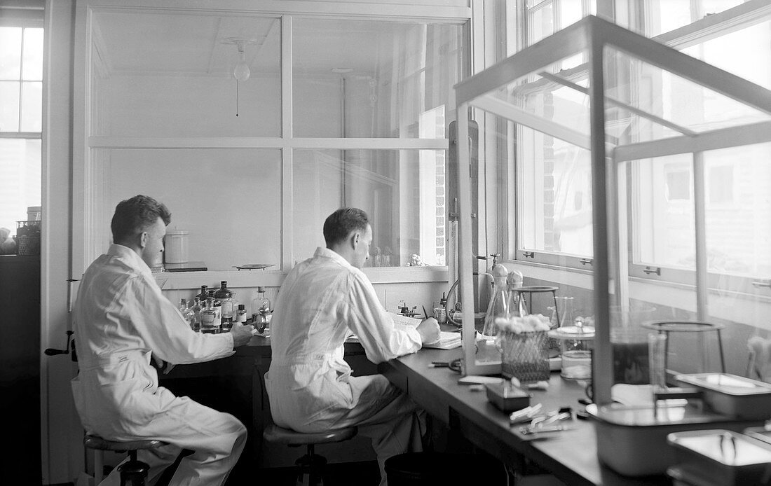 Rocky Mountain Laboratory researchers, 1938