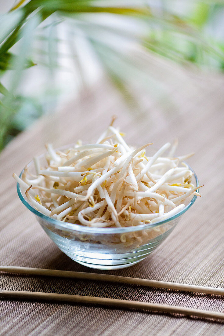 Soybean sprouts