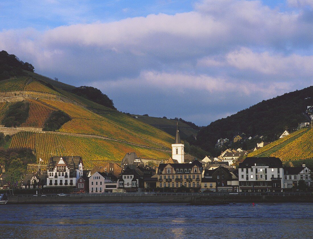 Gut Hollenberg oberhalb von Assmannshausen am Rhein, Rheingau
