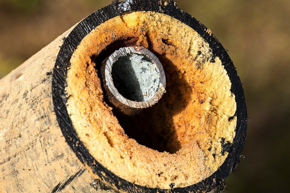 40 year old natural hot water pipe