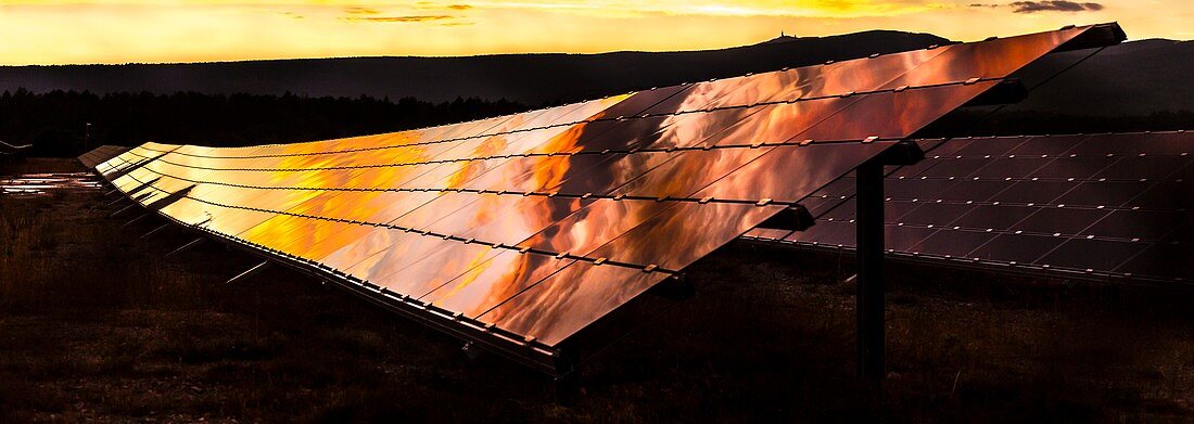 A panel of solar cells at sunset