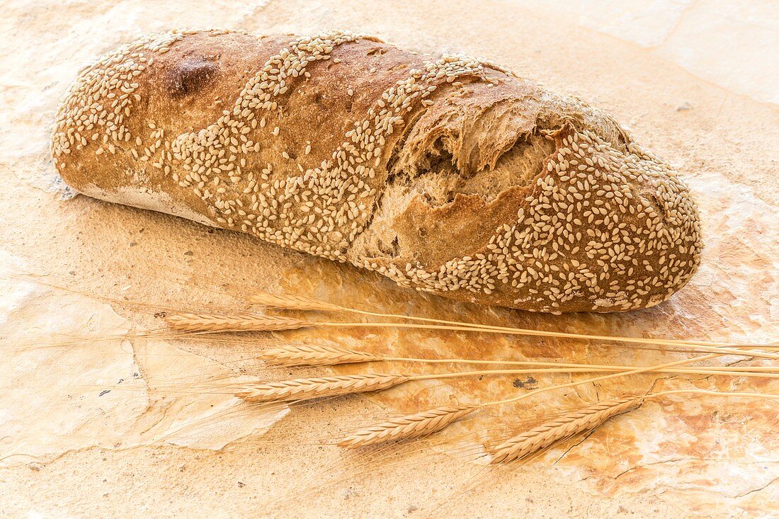 A loaf of einkorn wheat bread