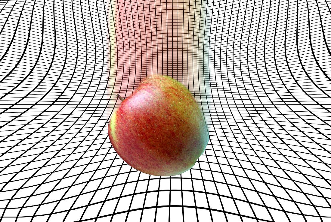 Apple and gravity, conceptual image