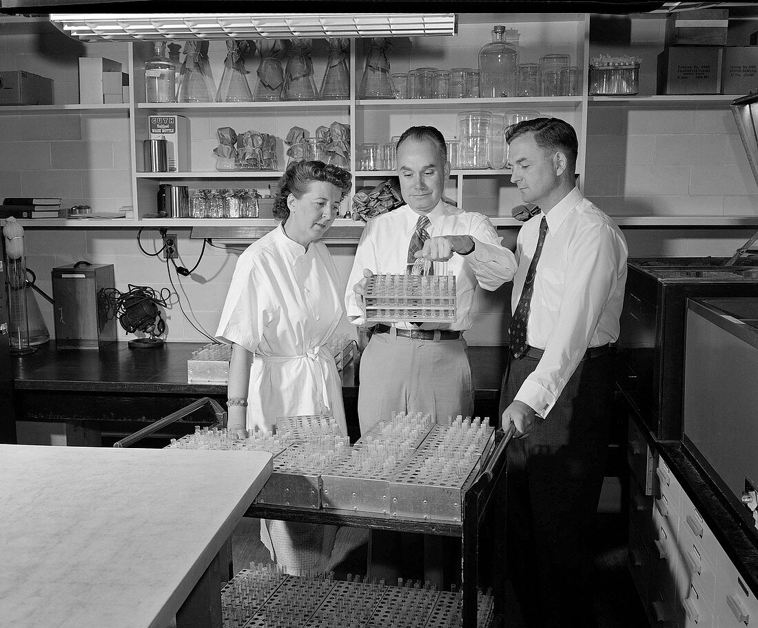 Serology test demonstration, 1950s