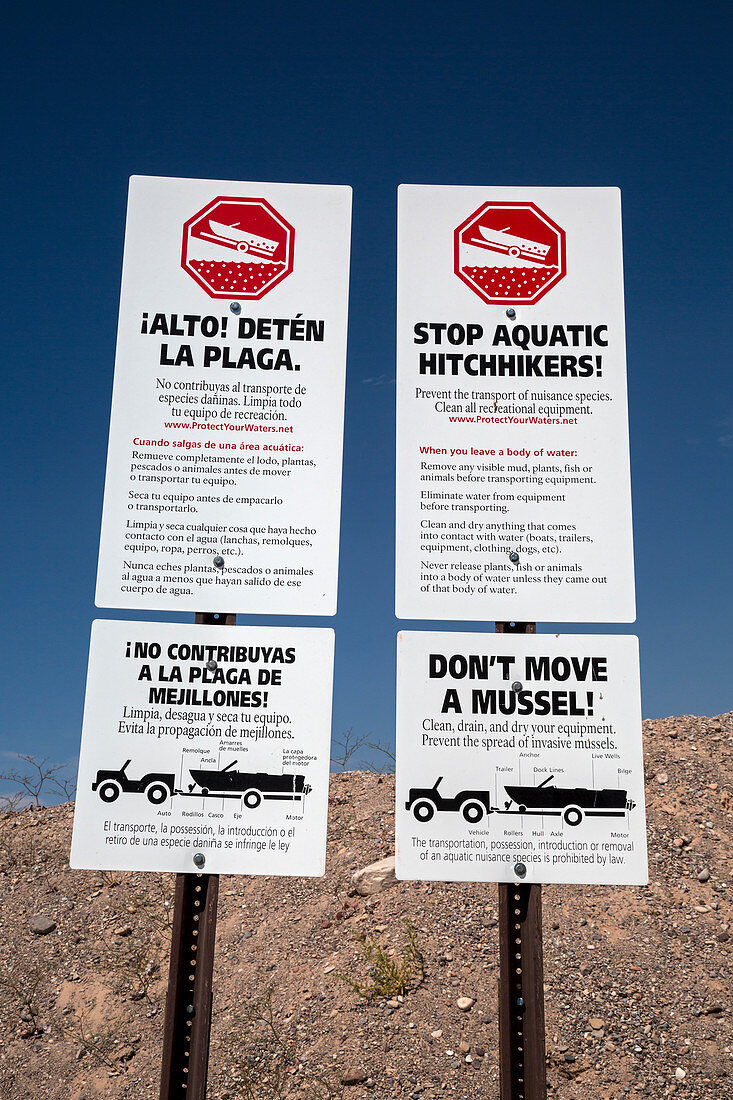 Warning against transporting invasive mussels, Lake Mead, US