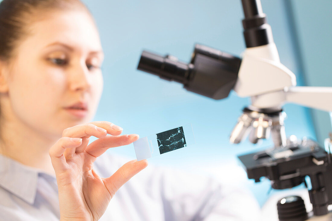 Woman holding microscope slide