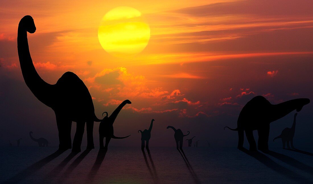 Artwork of sauropod dinosaurs at sunset