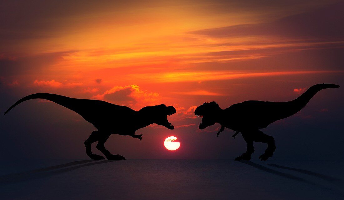 Tyrannosaurus dinosaurs fighting