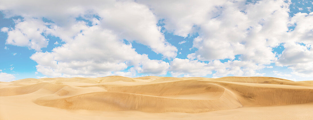 Sand dunes in the Sahara Desert