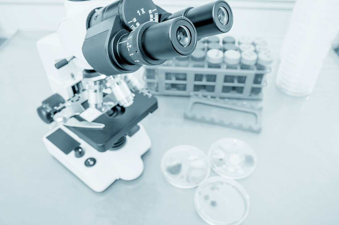 Laboratory microscope and petri dishes