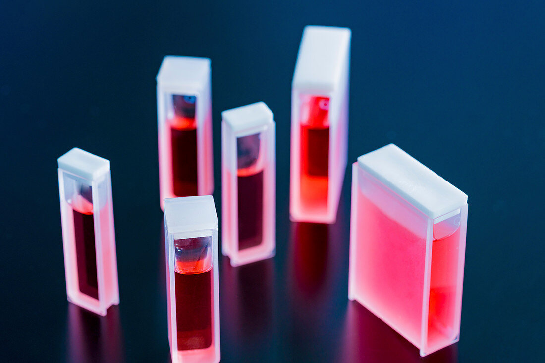 Cuvettes containing red samples