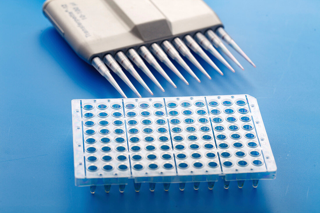 Multipipettes and multiwell tray