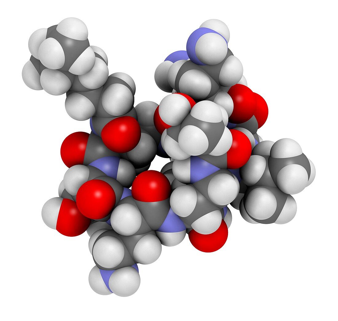 Colistin antibiotic drug molecule, illustration
