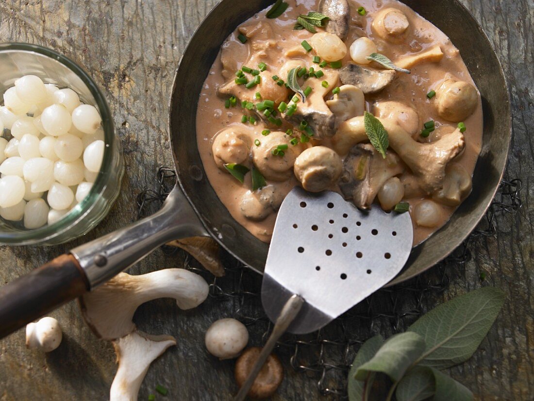 Mushrooms in cream sauce with chives and sage